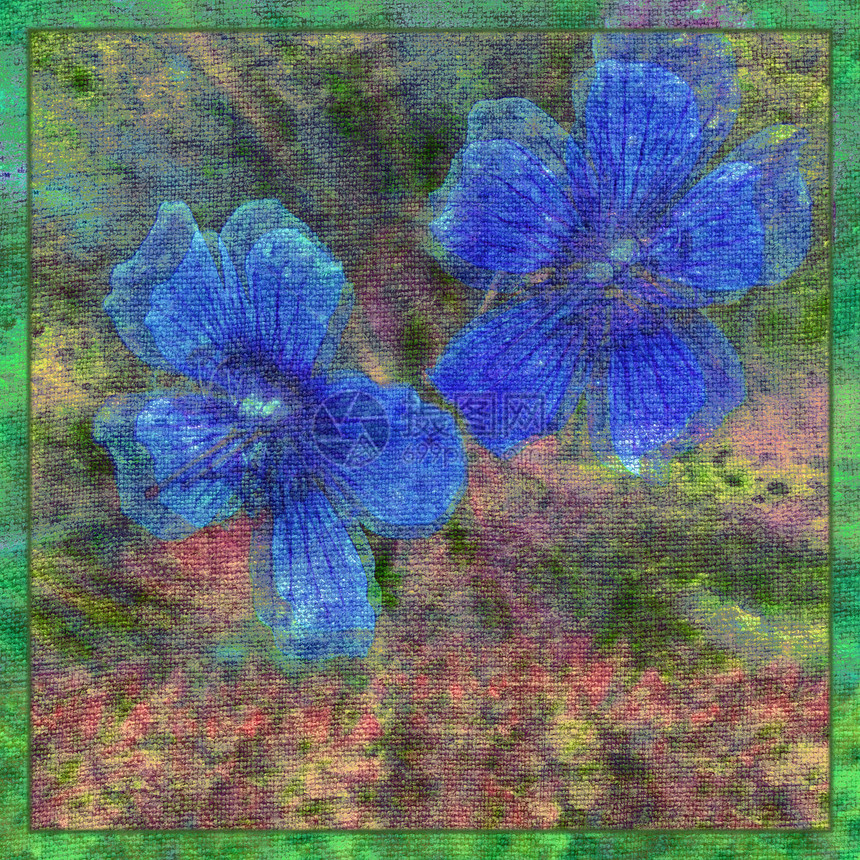 画布上的鲜花墙纸亚麻蓝色植物插图装饰花期花束刷子花瓣图片