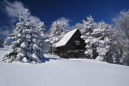 冬天雪中村庄雪中山庄木头季节寂寞小屋建筑学假期阳光国家住宅乡村背景