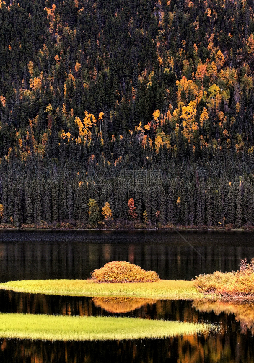 秋季水反射森林水生植物树叶灌木丛反思水域风景山腰松树变色图片