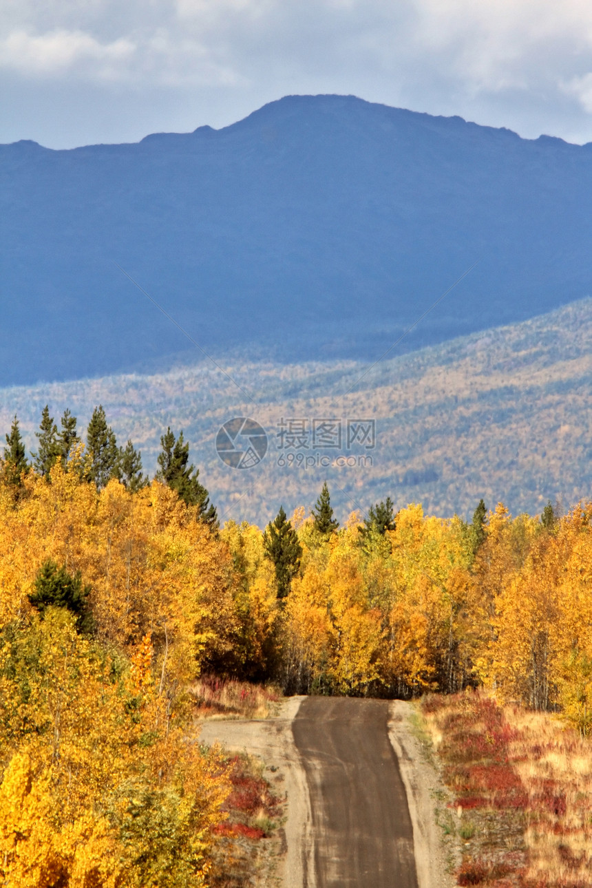 不列颠哥伦比亚省沿回路的多彩森林树叶山脉杂草风景观光场景松树旅行图片
