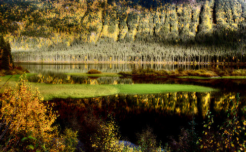 英国科卢米亚秋天对贝尔湖的反省水生植物叶子旅行松树水平山腰反射场景风景山坡背景