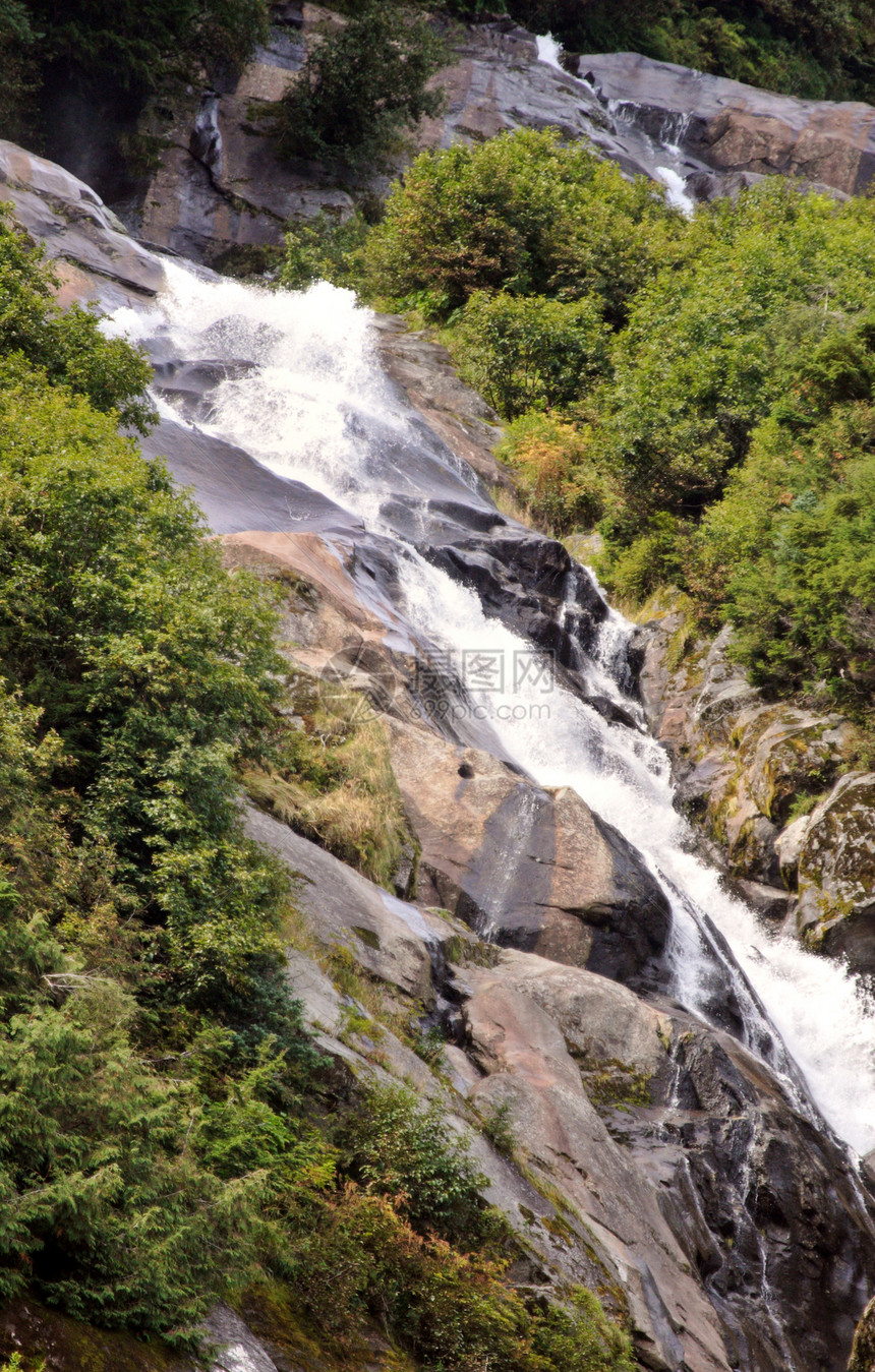 在艾伯塔风景中的三角溪瀑布瀑布旅行岩石表面树木图片