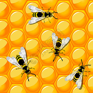 蜜蜂和蜂窝插图昆虫工人蜂巢蜂蜜动物艺术梳子背景图片