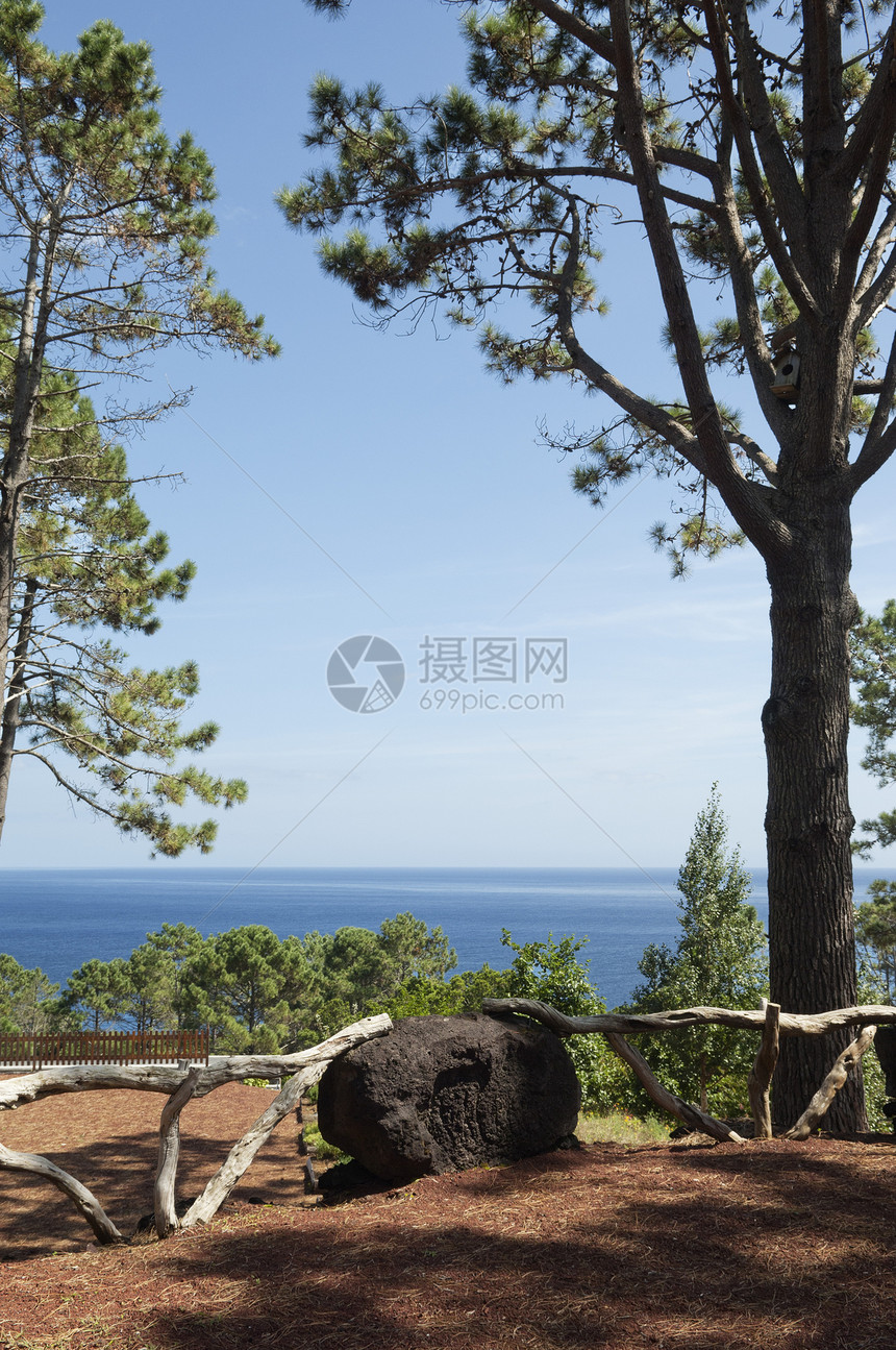 自然公园农村蓝色场景海洋石头支撑松树远景海岸风景图片