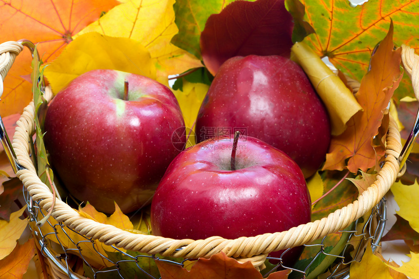 带苹果的篮子季节黄色绿色水果圆形生活红色花园市场食物图片