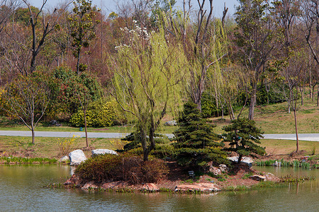 公园花园幼崽背景图片