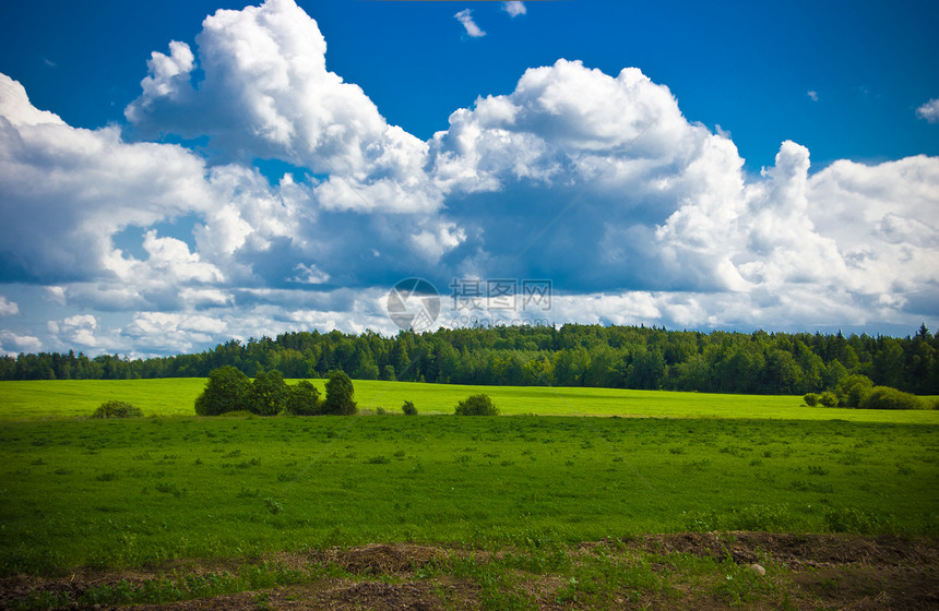 横向景观场景场地城市地平线蓝色天空乡村绿色草地森林图片