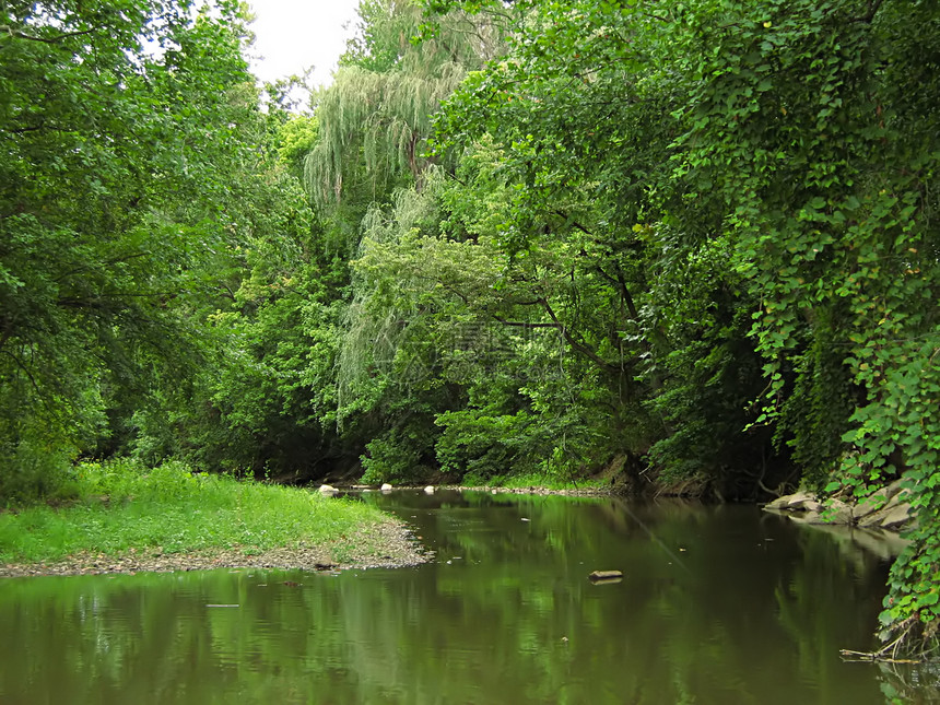 林地奇幻公园风景乡村水路树木城市池塘森林季节绿地图片