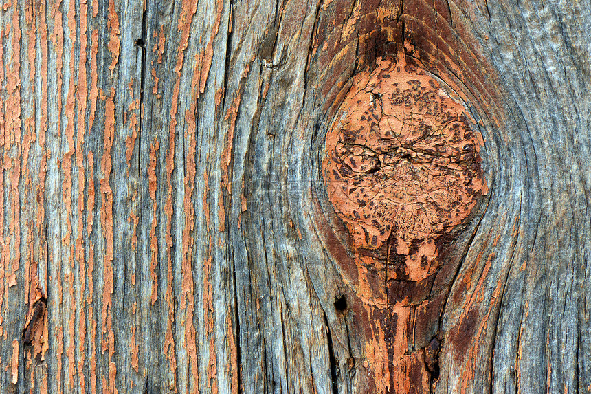 气象化木制木质质木头同心木材衰变老化风化宏观图片