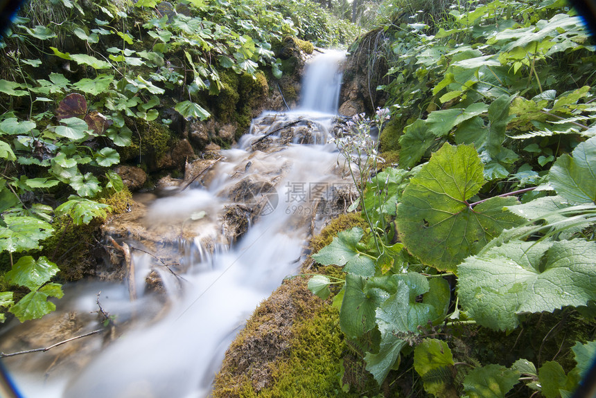 流水 多洛米特人季节木头森林植物荒野速度瀑布公园运动石头图片