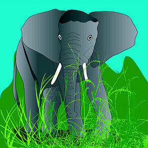 大象蓝色獠牙树干绿色空地天空草地背景图片
