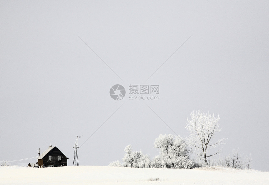冬季被遗弃的农舍树木农场房子灌木丛场景风景农村旅行乡村国家图片