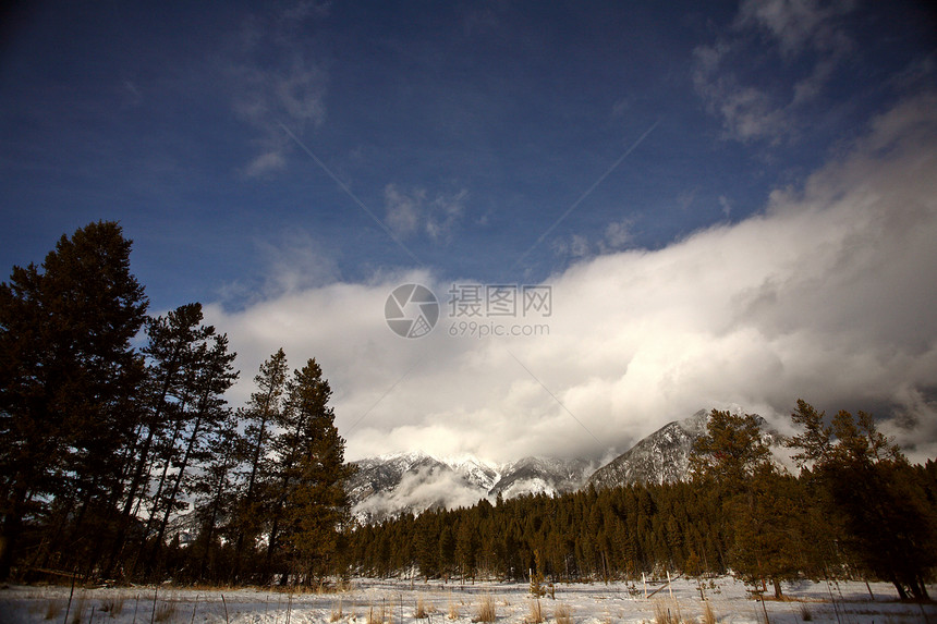 冬季落基山脉太阳阴影阴霾多云树木场景水平荒野白色丘陵图片
