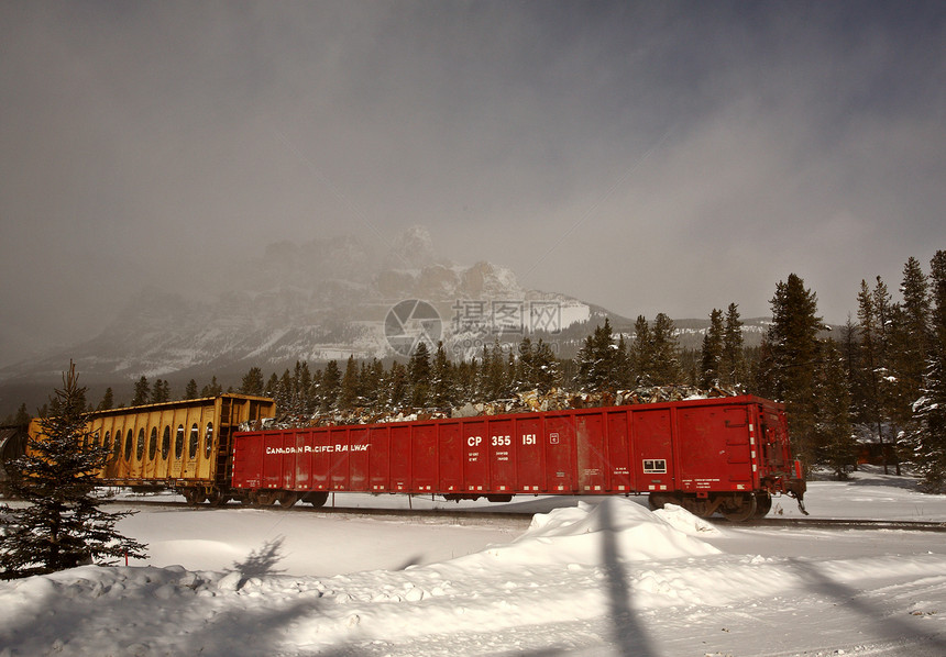 在艾伯塔省通过路口的火车水平运输铁路曲目山脉旅行森林图片