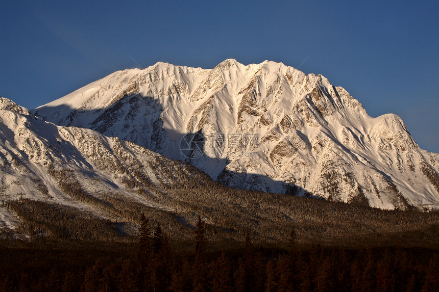 冬季落基山脉白色荒野阴影树木水平风景阳光照射旅行场景图片