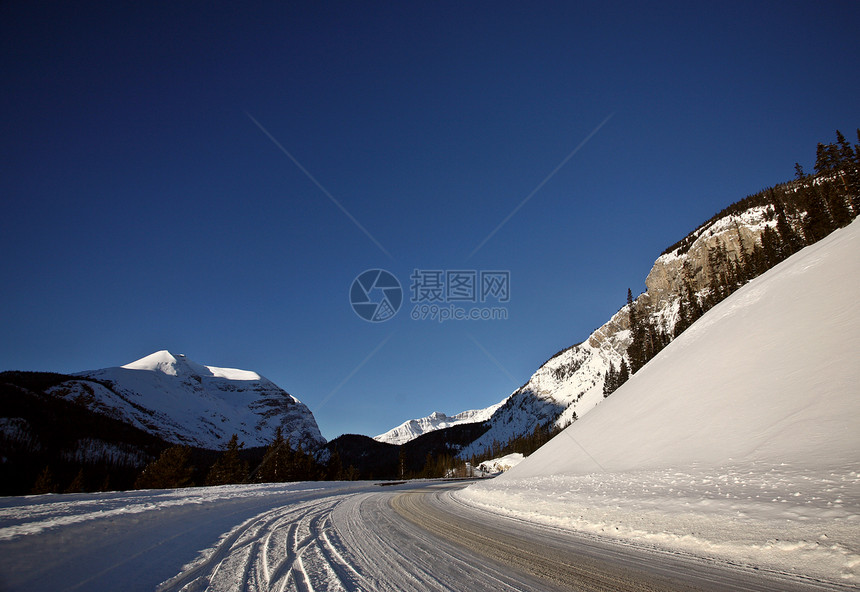 冬季落基山脉树木旅行风景阴影场景水平荒野阳光照射白色图片