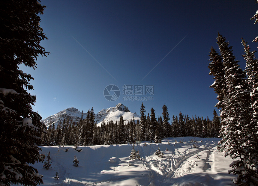 冬季落基山脉荒野树木丘陵滑雪场景水平风景阴影白色阳光照射图片