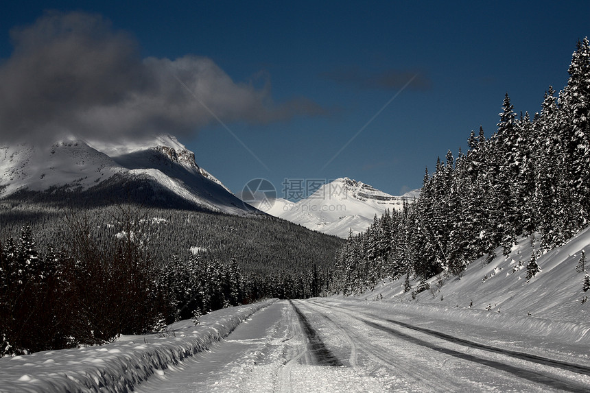 冬季落基山脉白色水平风景旅行丘陵场景树木图片
