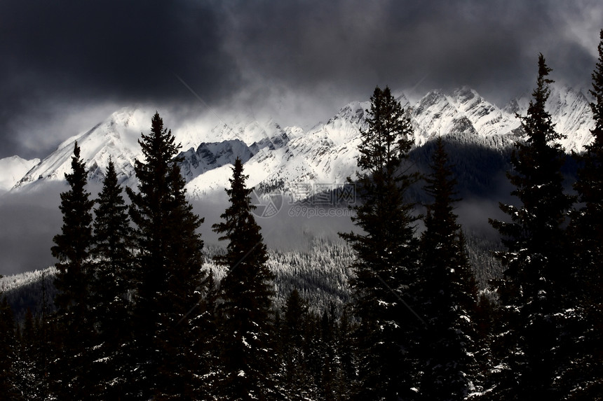 冬季落基山脉场景旅行阳光照射树木风景水平多云阴影白色阴霾图片