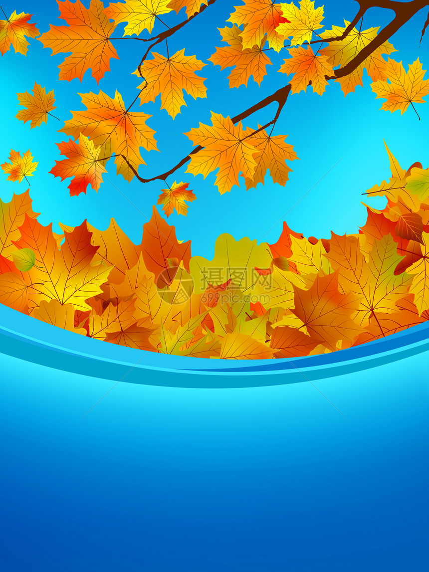 彩色叶秋季卡 EPS 8太阳季节树叶红色黄色绿色边界阳光笔记框架图片