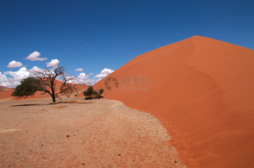 索苏武夫莱沙丘纳米布荒野场地风景沙漠太阳干旱生态蓝色旅行图片