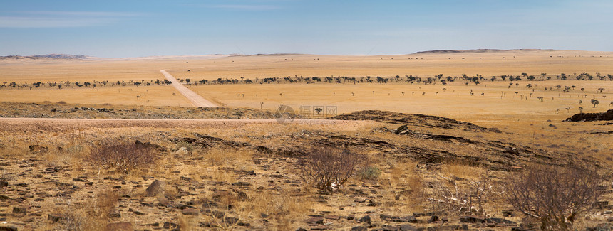 Namib 沙漠环境纳米布石头蓝色沙丘荒野天空土地孤独爬坡图片