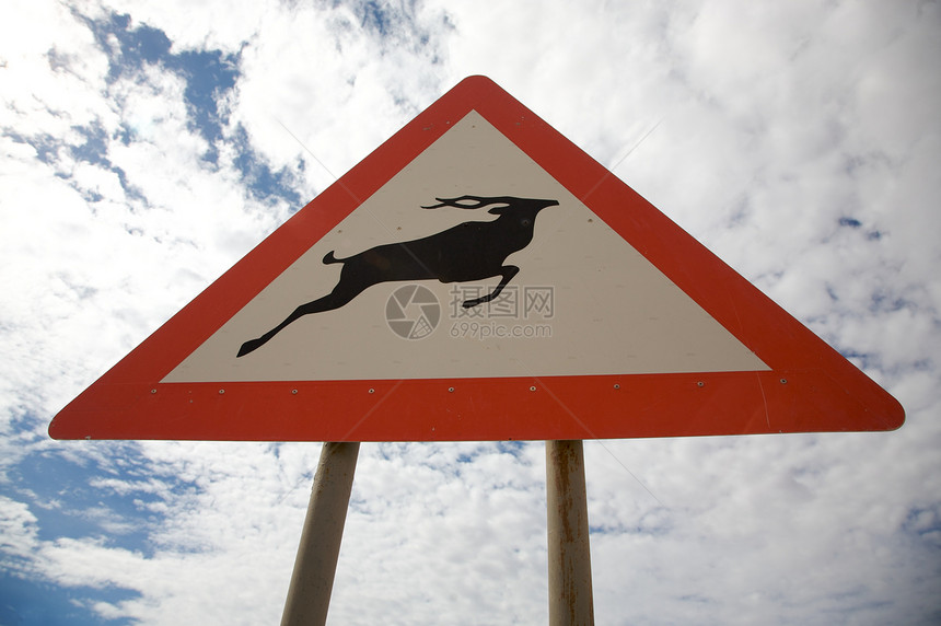 配有动物警告的标志路卡通片哺乳动物野生动物白色弹道展示羚羊木板框架宣传图片