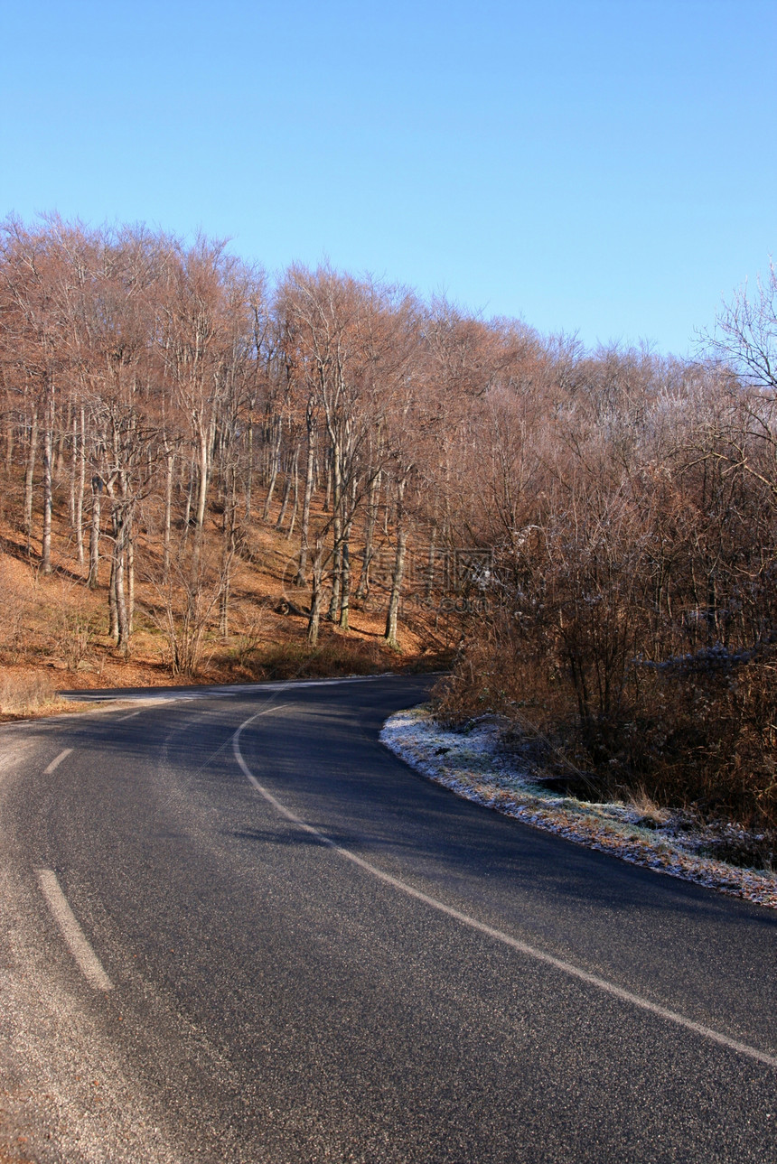 路小路冻结植物路线旅行国家驾驶森林分支机构树木图片