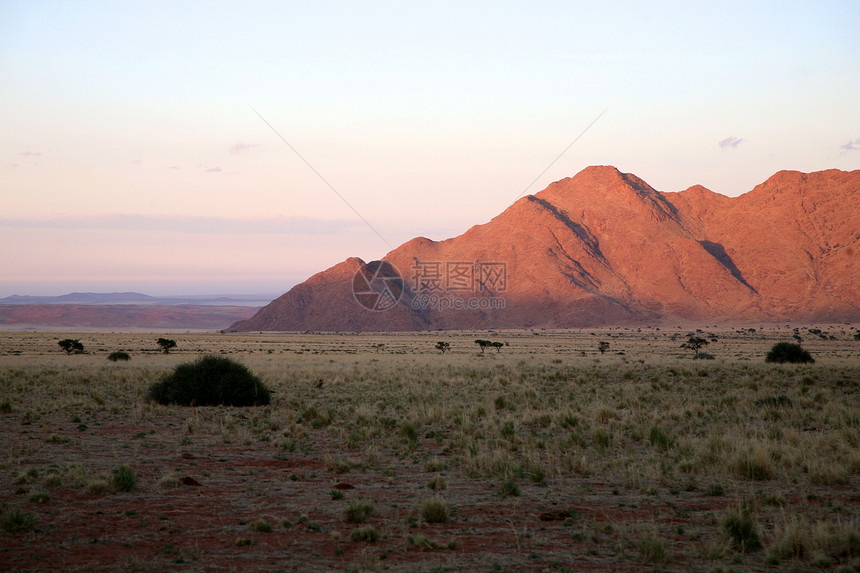 纳米比亚的荒野沙丘环境干旱风景土地晴天纳米布地平线天空草地图片