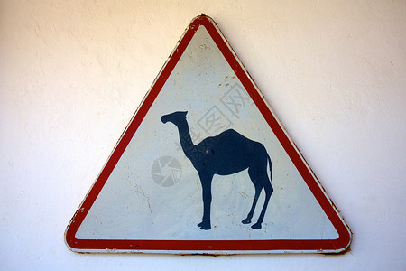 骆驼交叉标志全景白色路标三角形警告沙漠背景图片