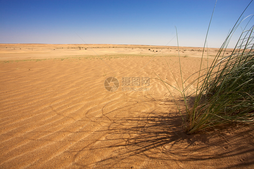 毛里塔尼亚沙漠旅游海浪勘探干旱风景涟漪运动气候沙丘衬套图片