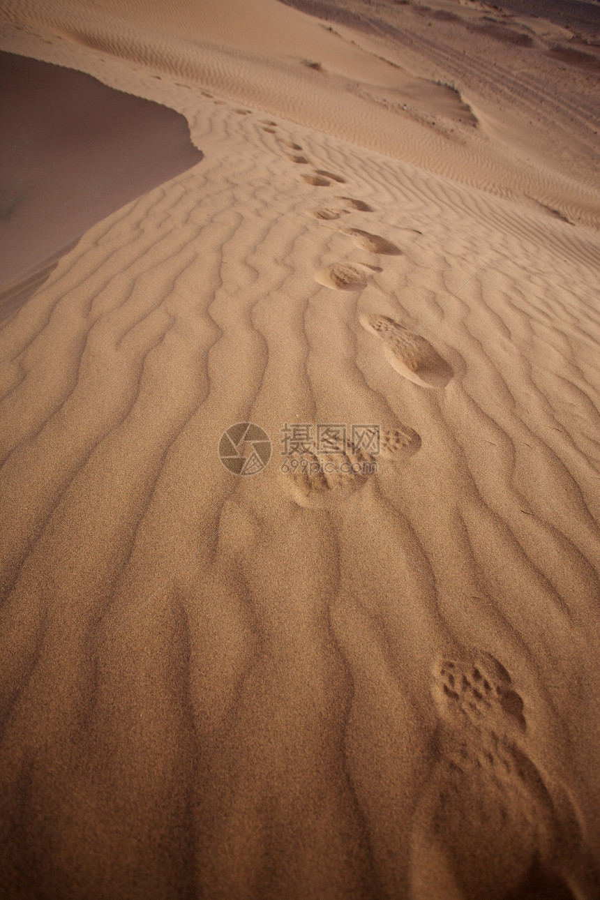 压强杜库地貌天空风景沙漠地形波纹金子沙丘海浪曲线印刷图片