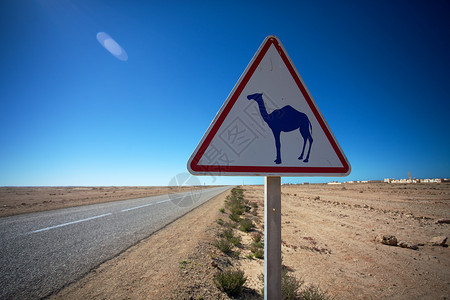 骆驼交叉标志沙漠全景路标蓝色三角形太阳背景图片