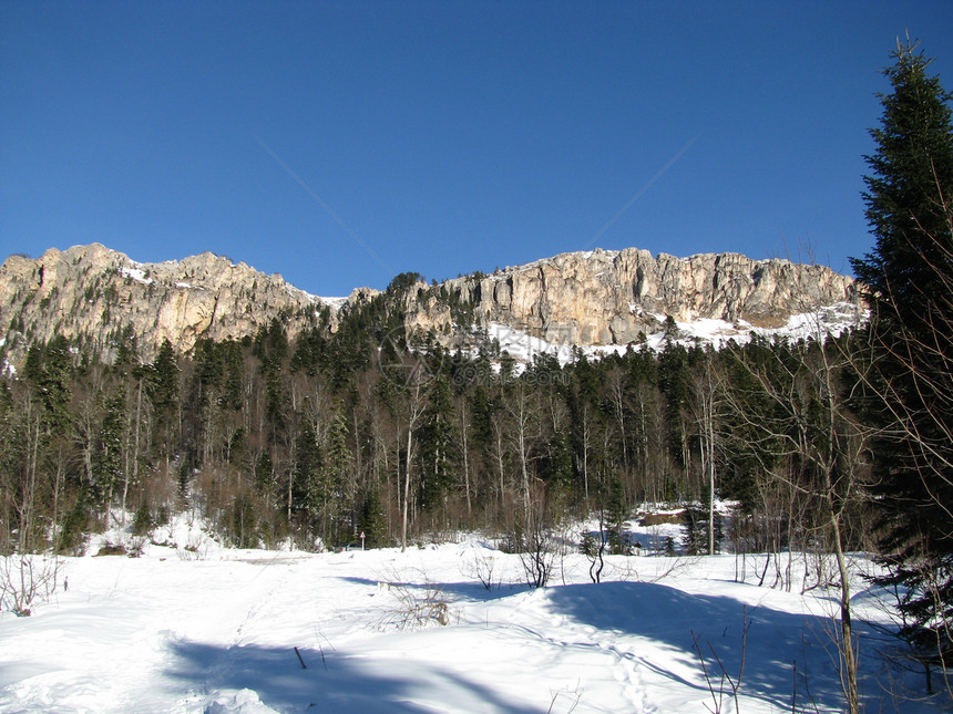 冬季全景松树登山山丘冰川植被高山一条路线山峰植物群图片