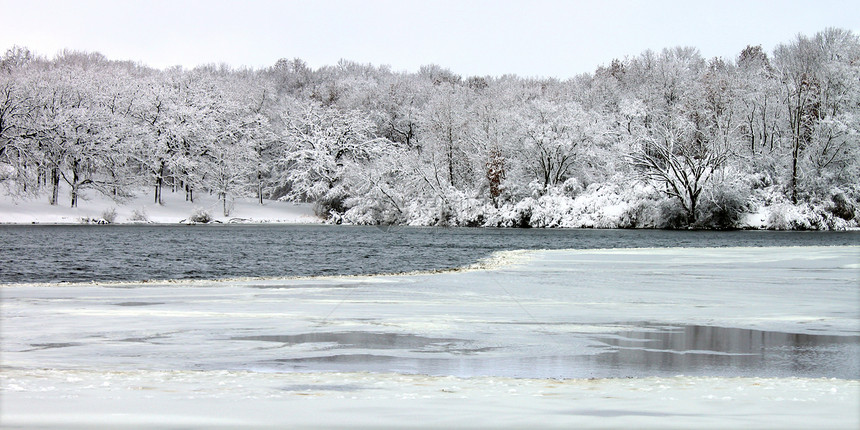 皮尔斯湖降雪  伊利诺伊州公园植被寒冷仙境土地栖息地生物学植物群生态寒意图片