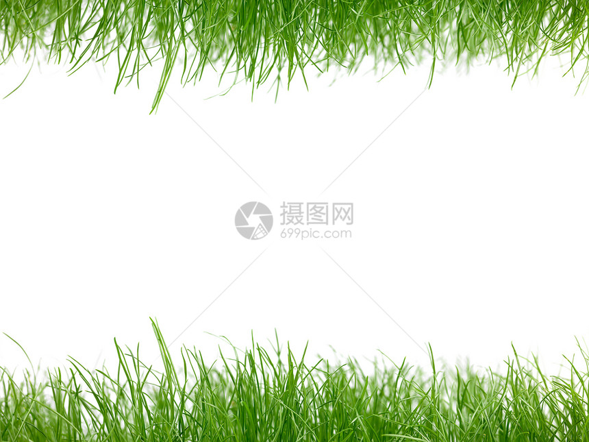 绿绿草场地草地运动环境土地叶子足球边界院子植物图片
