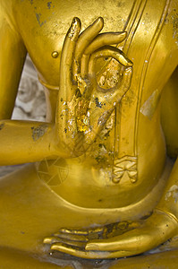 佛陀之手佛祖之手背景