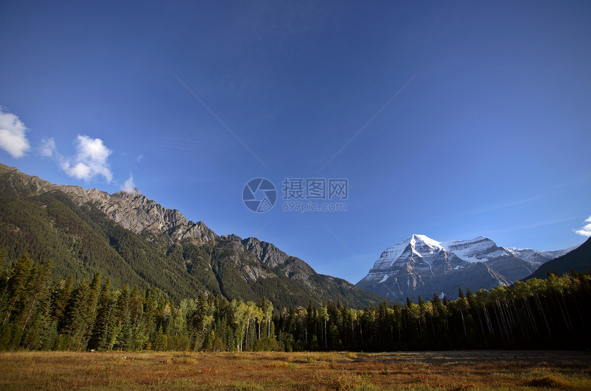 美丽的不列颠哥伦比亚省罗布森山松树水平乡村风景旅行草地图片