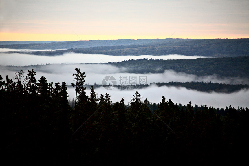艾伯塔风景中的地雾天气旅行乡村水平树木图片