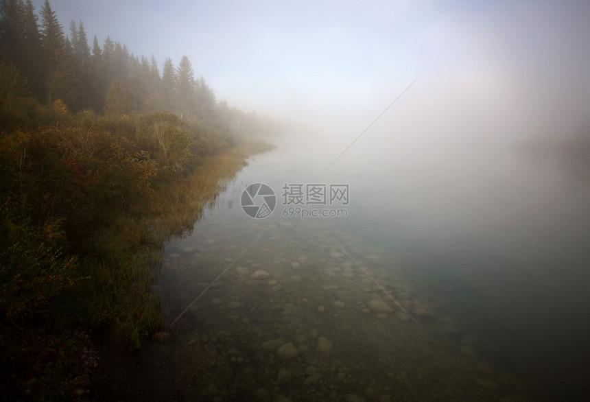 萨斯喀彻温河的晨雾树木水平风景旅行天气乡村美术图片