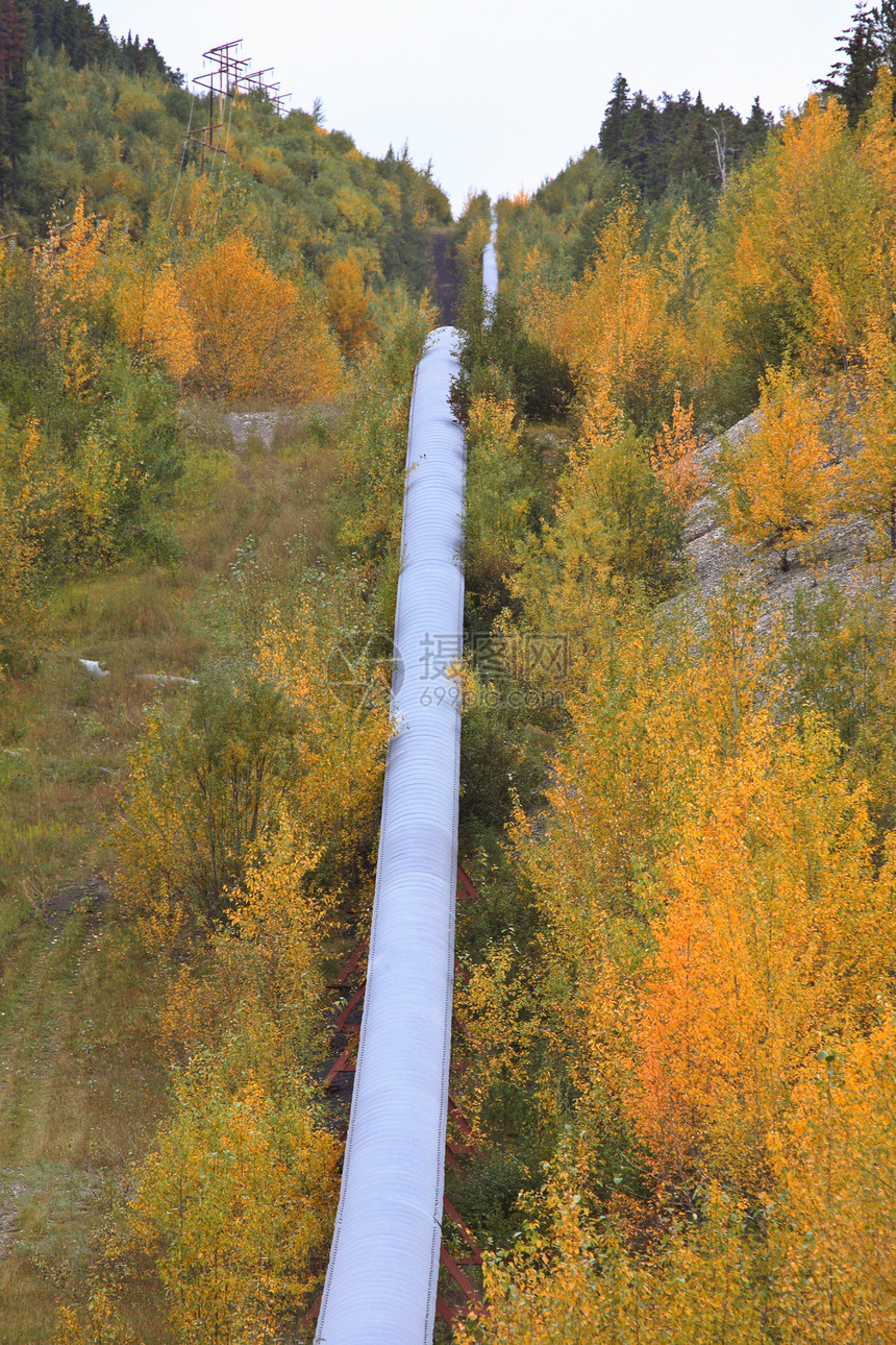 秋天穿过山口的管道图片