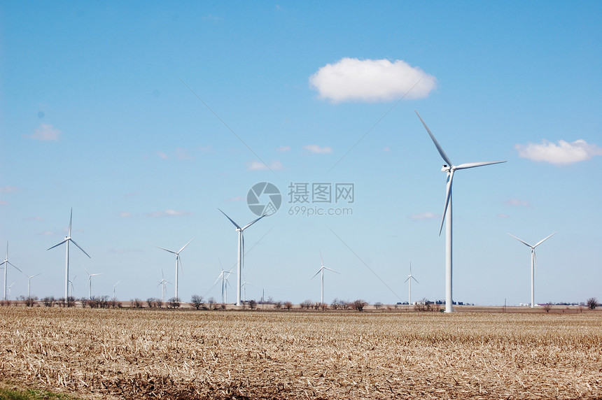 风风涡轮风车场地风力树木绿色科技资源技术涡轮机图片