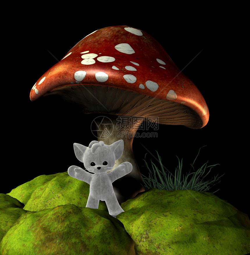 蘑菇泰迪图片