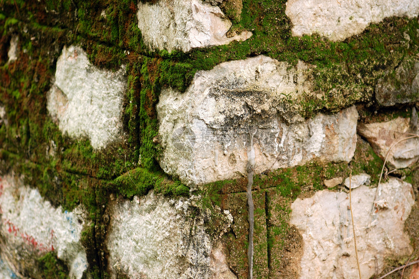 石磨积木建筑团体建筑学材料植物群宏观绿色岩石苔藓图片