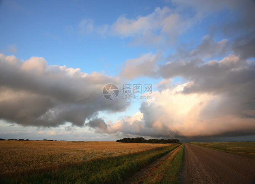 雷头云在萨斯喀彻温风景形成雷头国家乡村大草原农村积雨水平场景旅行风暴图片