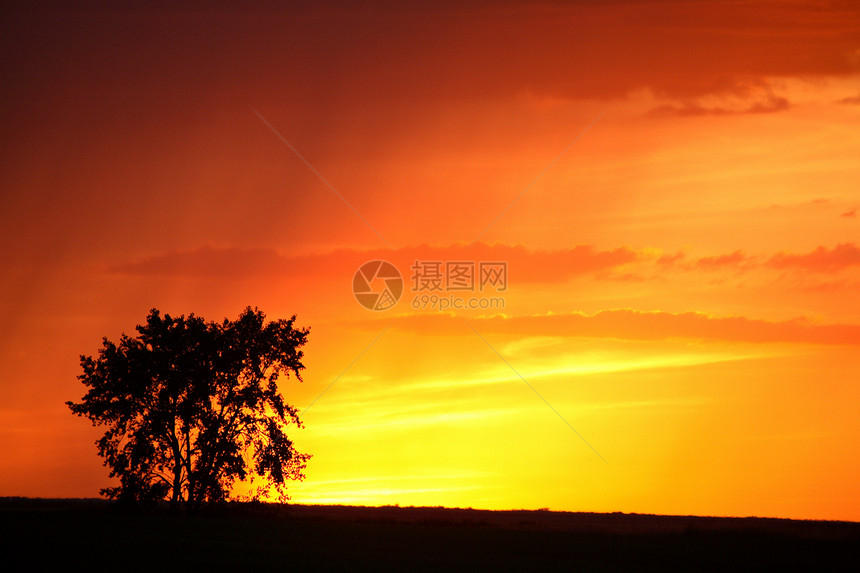 萨斯喀彻温风景炎雨的日落剪影大草原草原乡村水平美术场景旅行风景图片