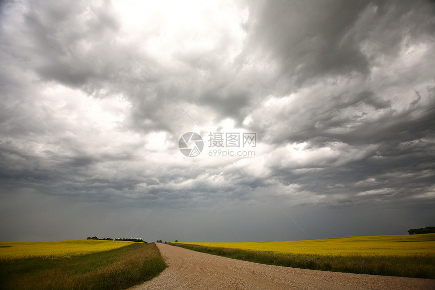 萨斯喀彻温乡村公路上的暴云风暴水平植被旅行场景天气草原绿色风景油菜籽图片
