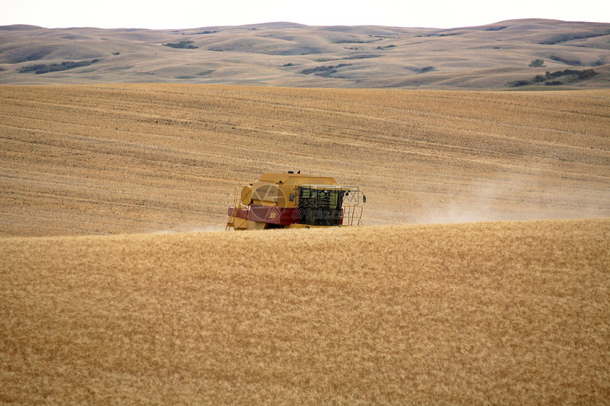 农民在萨斯喀彻温采风区收割作物国家水平农业风景场景茬地农村农业机械大草原合并图片