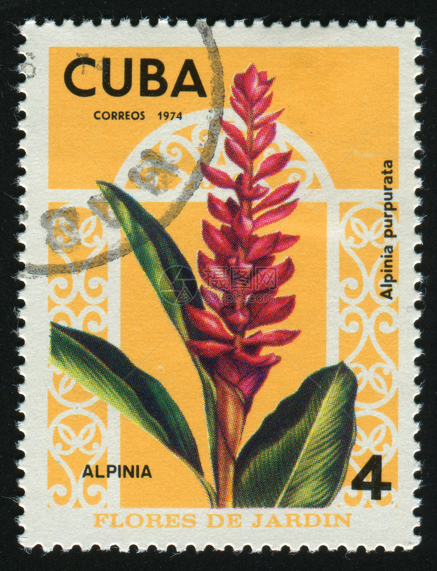邮票爱好花瓣植物学植物收集卡片邮局生物学邮政邮件图片
