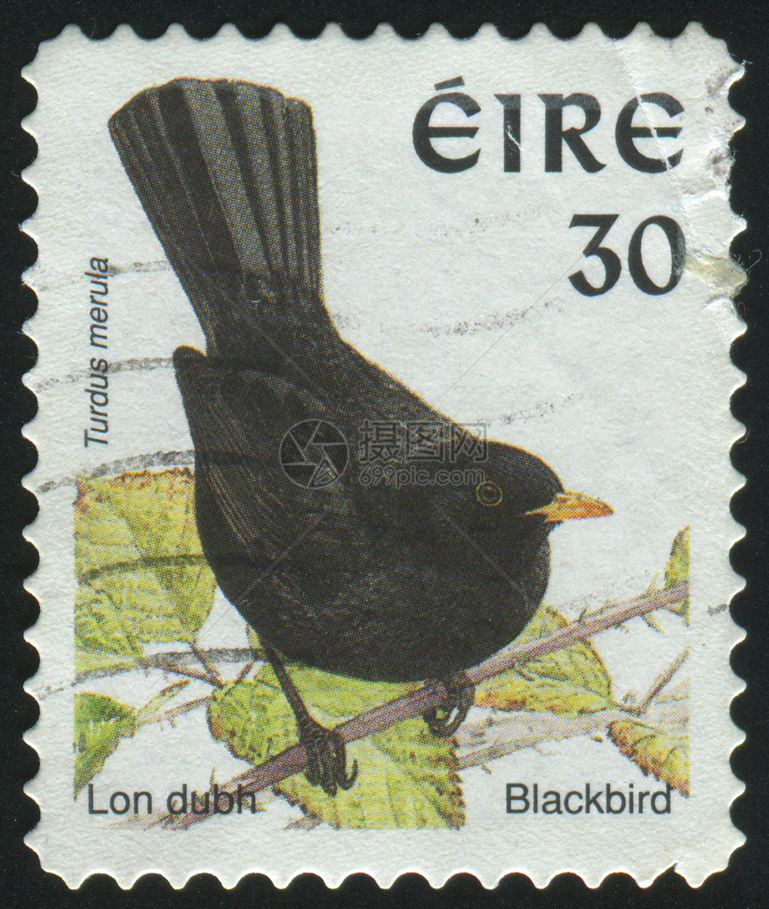 邮票邮戳杂食性集邮歌曲卡片邮件画眉动物黑鸟信封图片